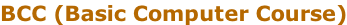 BCC (Basic Computer Course)